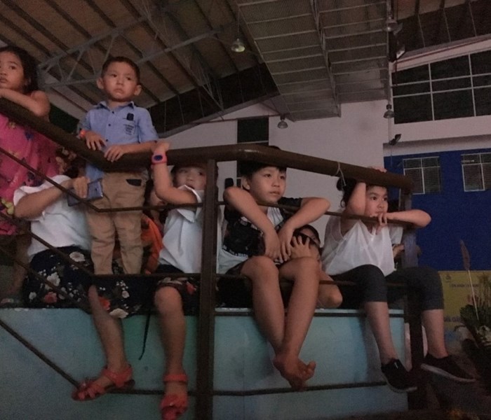 Từ chương trình xiếc Vũ điệu rừng xanh: NSND Tâm Chính tuyên bố sẽ không làm chỉ đạo nghệ thuật cho các đoàn xiếc! - Anh 1