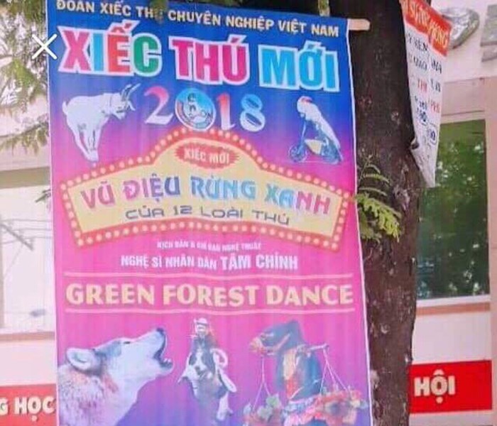Từ chương trình xiếc Vũ điệu rừng xanh: NSND Tâm Chính tuyên bố sẽ không làm chỉ đạo nghệ thuật cho các đoàn xiếc! - Anh 2