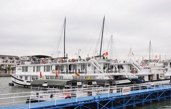 Quảng Ninh: Thí điểm quản lý, điều hành tàu ghép khách tham quan Vịnh Hạ Long - Anh 1