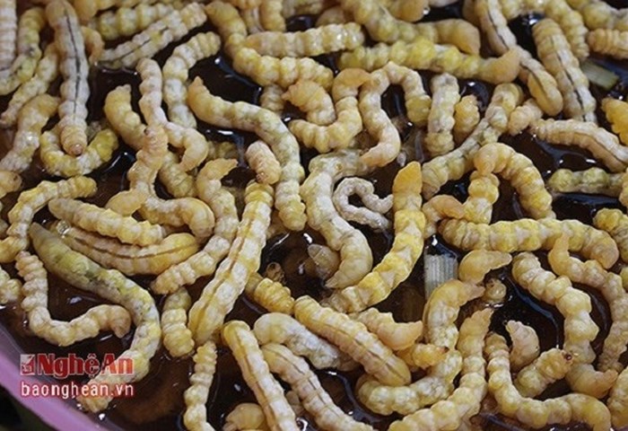 Ấu trùng giá 4 triệu đồng/kg vẫn hút khách - Anh 9