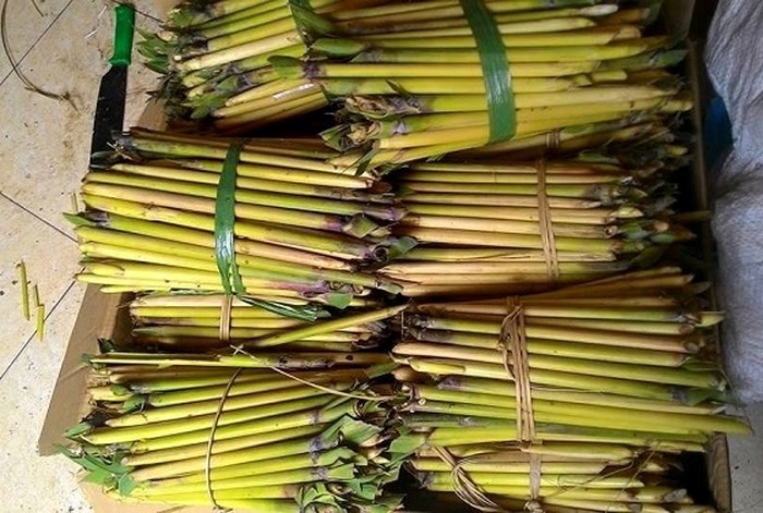 Ấu trùng giá 4 triệu đồng/kg vẫn hút khách - Anh 2