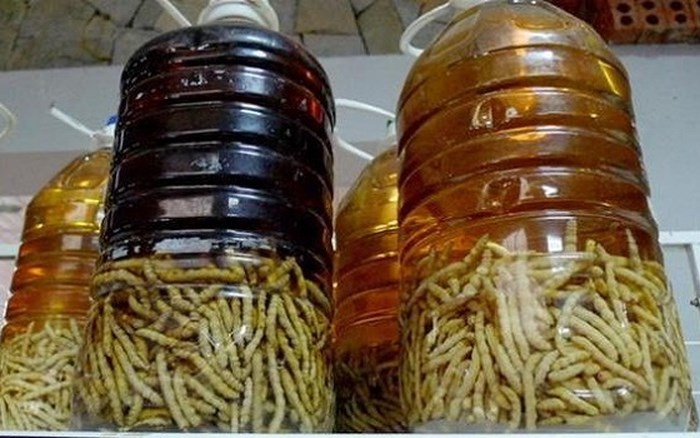 Ấu trùng giá 4 triệu đồng/kg vẫn hút khách - Anh 11
