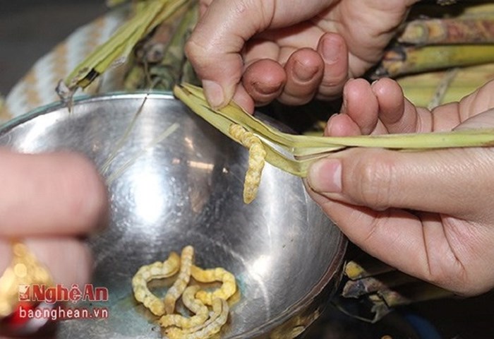 Ấu trùng giá 4 triệu đồng/kg vẫn hút khách - Anh 5