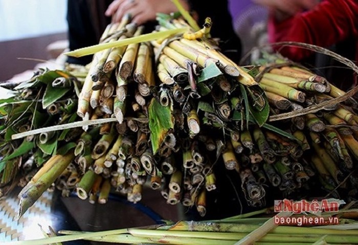 Ấu trùng giá 4 triệu đồng/kg vẫn hút khách - Anh 4