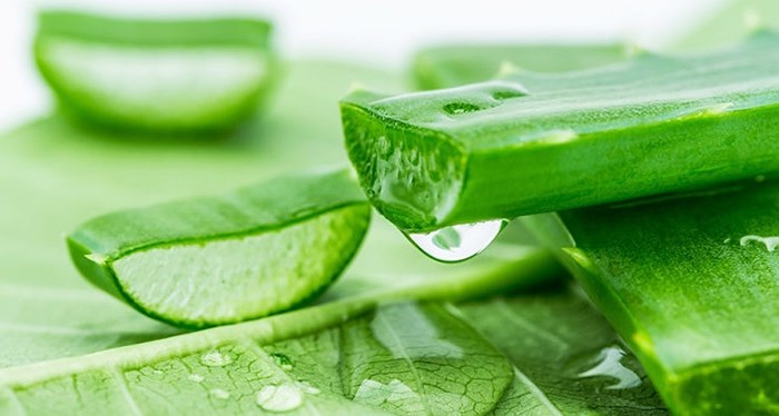 Những loại thực phẩm có thể gây sảy thai mẹ nào cũng cần biết - Anh 4