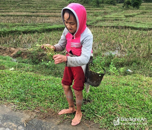 Đặc sản “pắc vẹn” lạ mà ngon tuyệt cú mèo của người Thái vào mùa - Anh 3