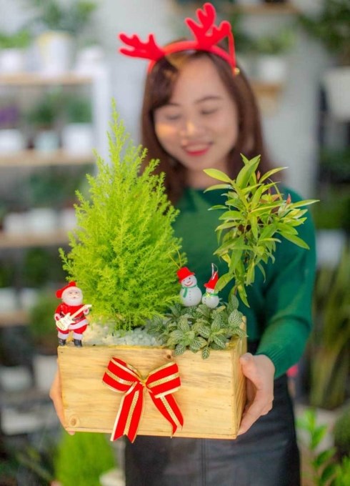Mốt chơi “cây thông” lạ mùa Noel năm nay, chủ shop thu tiền triệu mỗi ngày - Anh 2