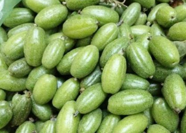 Loại quả xin được ở quê, người Hà thành vẫn phải mua giá cao hơn thịt bò - Anh 1