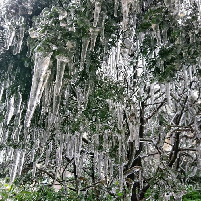 Thời tiết đêm 31 và 01.01.2019: Hà Nội rét hại, nhiệt độ thấp nhất 8 độ C, xuất hiện áp thấp nhiệt đới trên Biển Đông - Anh 1