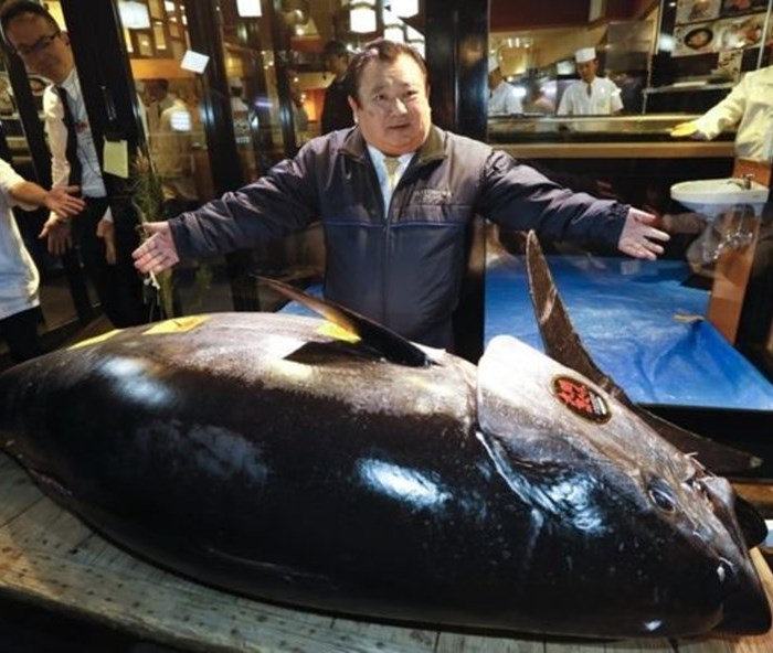 Cá ngừ được đấu giá kỉ lục 3,1 triệu USD tại chợ Nhật Bản - Anh 1
