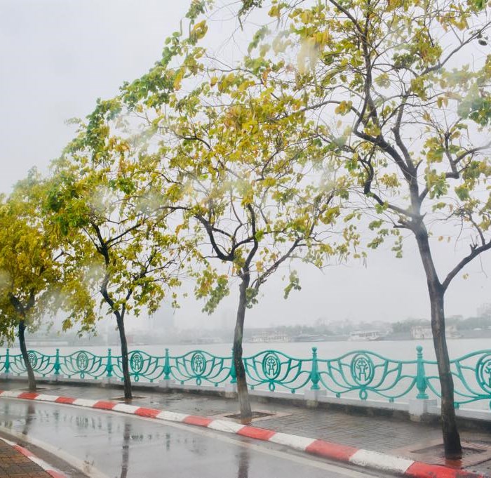 Thời tiết ngày và đêm 10.1: Hà Nội đêm và sáng tiếp tục mưa trời rét, nhiệt độ thấp nhất 15oC, Trung Bộ đến Nam Bộ có mưa rào - Anh 1