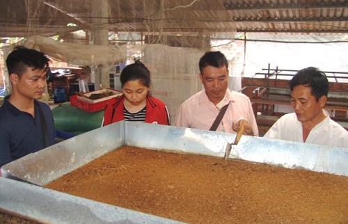 Thầy giáo bỏ nghề về quê...nuôi ruồi lấy trứng, bán 30 triệu/ký - Anh 3