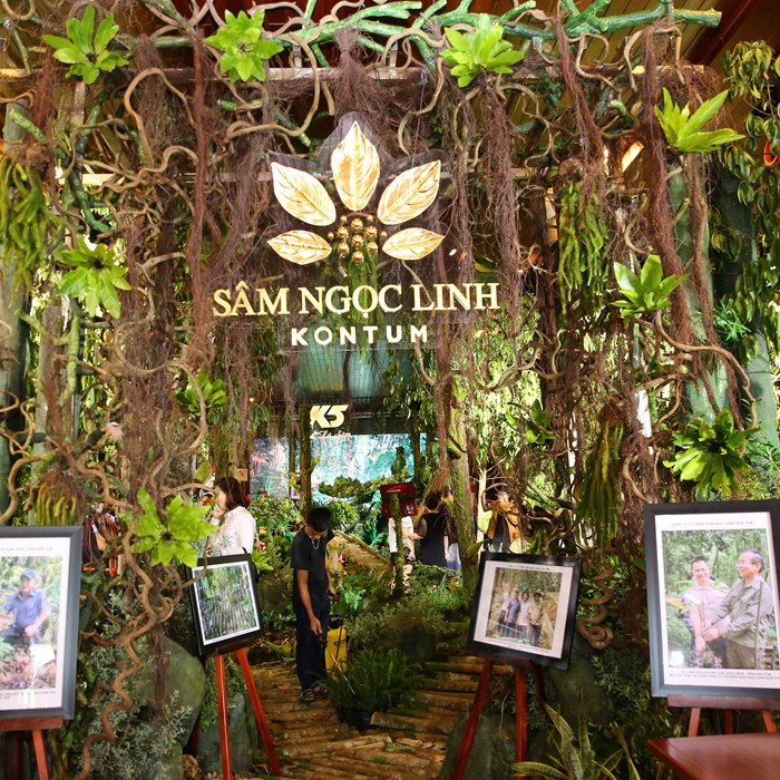 Chiêm ngưỡng “báu vật đại ngàn” tại Bảo tàng Lịch sử quốc gia - Anh 1