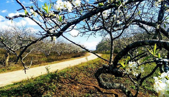 Thời tiết ngày và đêm 22.1: Hà Nội và Bắc Bộ duy trì rét đậm, Trung Bộ có mưa lớn - Anh 1