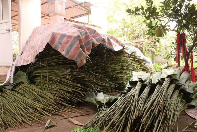 Làng lá dong lớn nhất Hà Nội tất bật vào vụ Tết - Anh 10