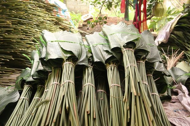 Làng lá dong lớn nhất Hà Nội tất bật vào vụ Tết - Anh 11