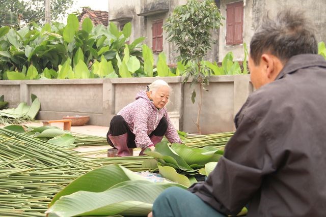 Làng lá dong lớn nhất Hà Nội tất bật vào vụ Tết - Anh 6