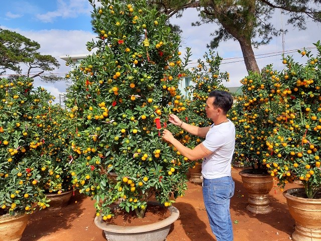 Thời tiết ngày và đêm 29 .1: Nhiệt độ Bắc Bộ tiếp tục tăng, Tây Nguyên và Nam Bộ nắng đẹp ngập tràn - Anh 1
