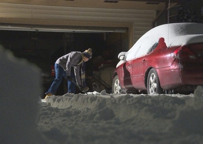 Thanh niên gốc Việt làm 