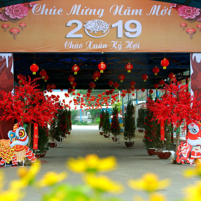 Hương sắc bốn mùa chào Xuân Kỷ Hợi 2019 - Anh 5