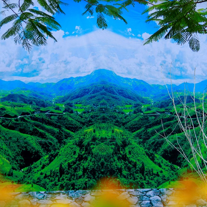 Hương sắc bốn mùa chào Xuân Kỷ Hợi 2019 - Anh 4