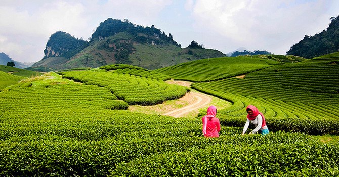 Quy hoạch chung xây dựng Khu du lịch quốc gia Mộc Châu - Anh 1