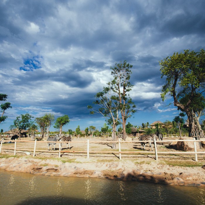 Đón Tết 3 miền tại Vinpearl Nam Hội An - Anh 5