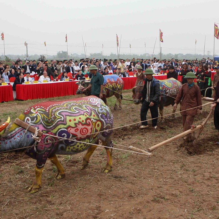 Khai hội Tịch điền - Anh 7