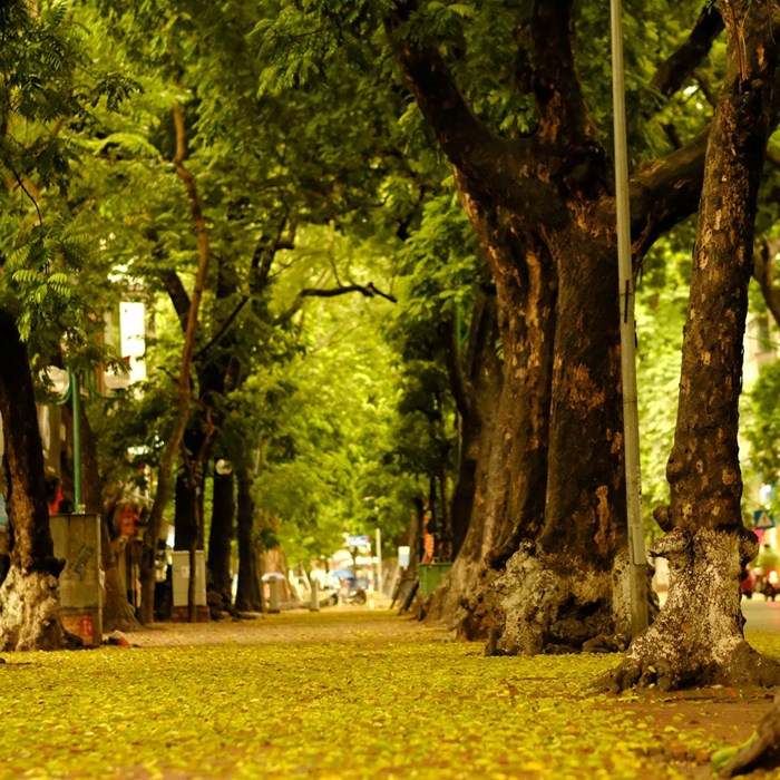 Thời tiết ngày 22.2: Bắc Bộ không khí lạnh gây mưa rét về đêm và sáng, Nam Bộ nắng nóng - Anh 1