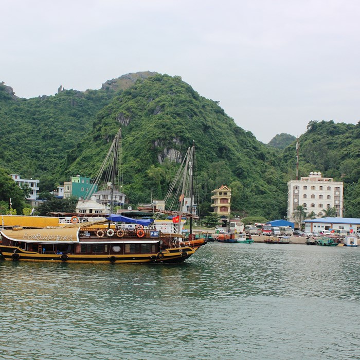 Hải Phòng: Triển khai đảm bảo ATGT và quản lý phương tiện chở khách du lịch - Anh 1