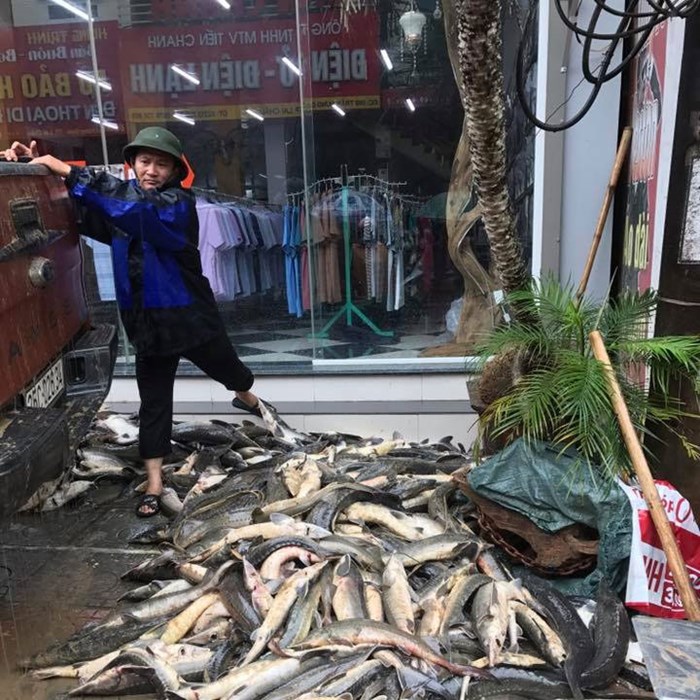 Thắt lòng với lời kêu “Xin cứu trợ Lai Châu” - Anh 3