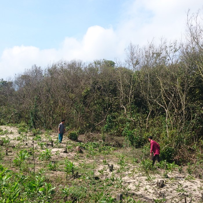“Bánh vẽ” triệu đô và sự lãng phí tài nguyên du lịch(Bài 2):  Vì đâu nên nỗi? - Anh 1