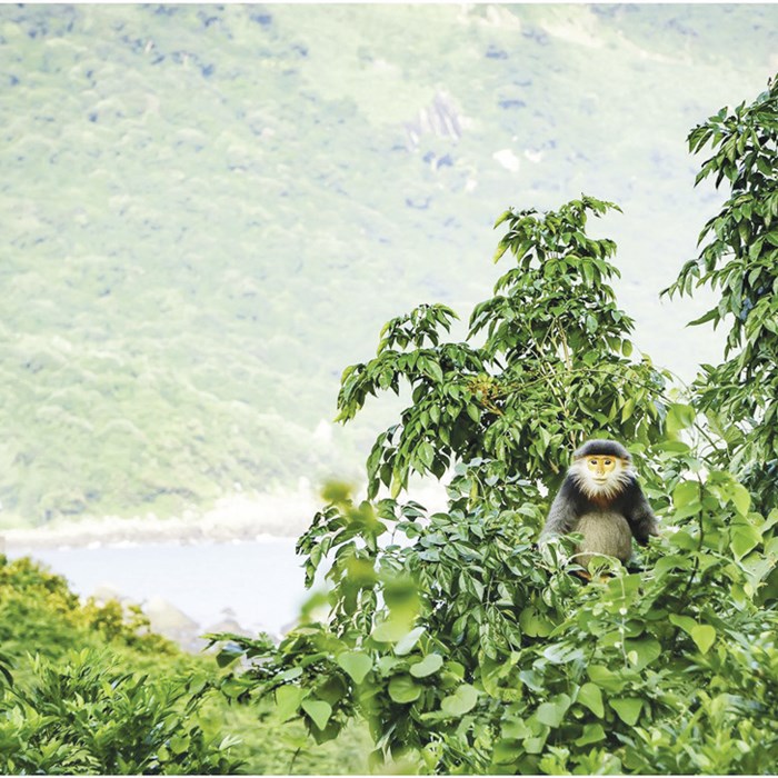 Đi tìm giá trị nhân văn trong một kiệt tác kiến trúc - Anh 2