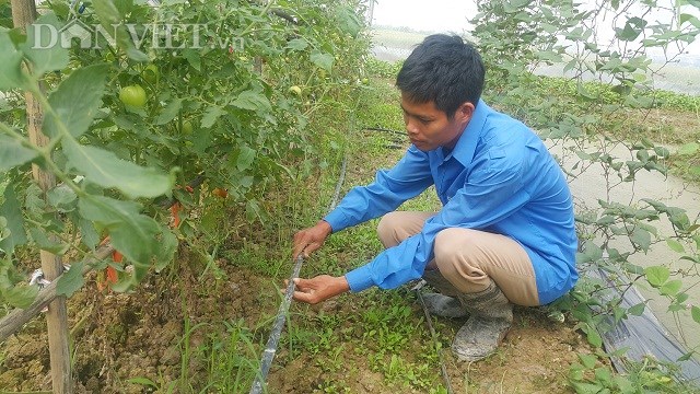Kỹ sư 8X bỏ về quê trồng rau an toàn chỉ lo 
