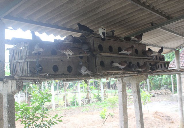 Khâm phục lão nông mù làm kinh tế giỏi, sửa đồ điện hay - Anh 5