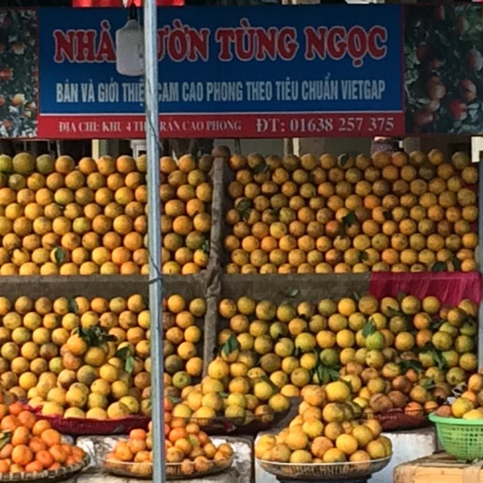 Vị “chua” của vùng cam ngọt - Anh 1