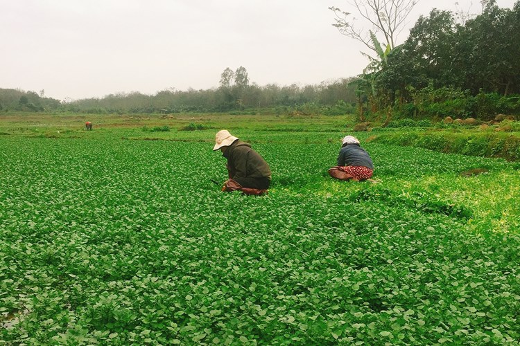 Đề nghị đổi tên gọi di tích quốc gia hệ thống giếng cổ Gio An - Anh 2