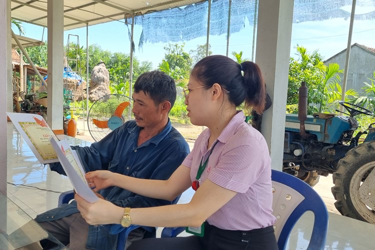 Tư Nghĩa (Quảng Ngãi): Nâng cao đời sống nhờ nguồn vốn vay chính sách - Anh 4