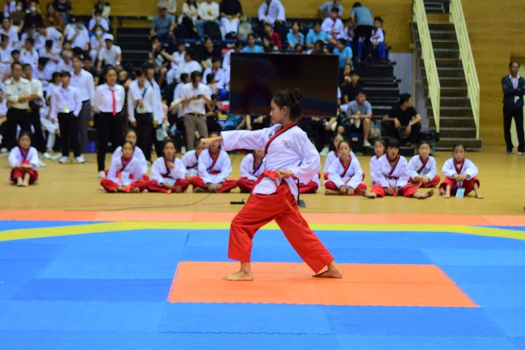 250 vận động viên dự giải Taekwondo vô địch các CLB TP Đà Nẵng - Anh 1