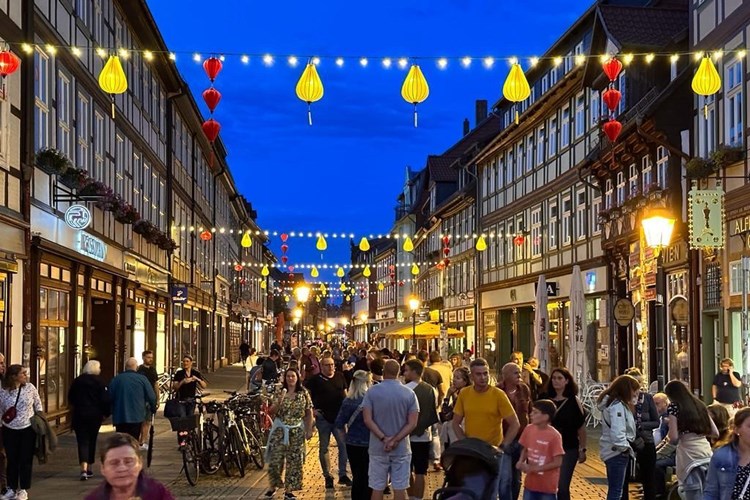 Dấu ấn 10 năm hợp tác hữu nghị giữa hai thành phố Hội An và Wernigerode - Anh 1