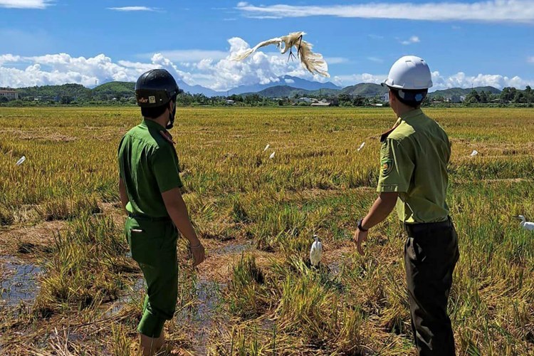 Thừa Thiên Huế: Ra quân tháo dỡ, tiêu hủy hàng trăm bẫy chim trời - Anh 1