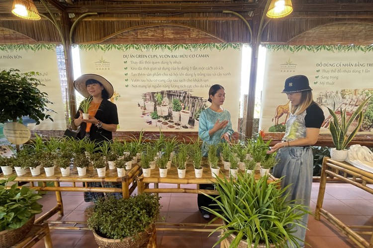 Khách sạn đầu tiên không rác thải nhựa ở Hội An - Anh 2