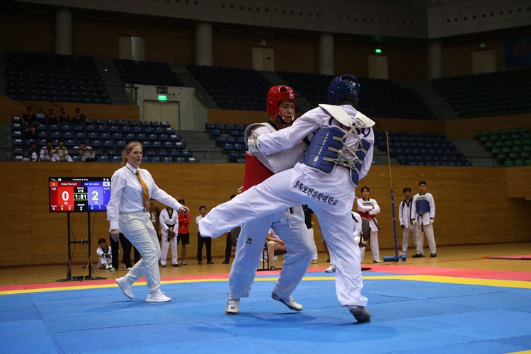 Đà Nẵng: Khai mạc Giải vô địch Taekwondo các câu lạc bộ quốc tế lần thứ 19  năm 2023 - Anh 1