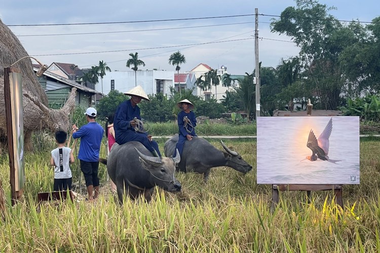"Hội An - Nơi đàn chim trở về" - ảnh 2