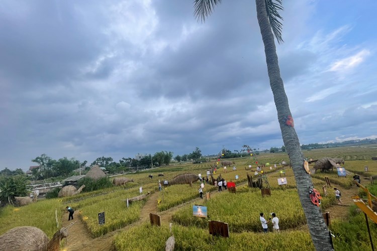 "Hội An - Nơi đàn chim trở về" - ảnh 1