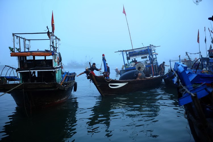 Quảng Nam: Cấm biển từ sáng 25.9 ứng phó với áp thấp nhiệt đới - Anh 2