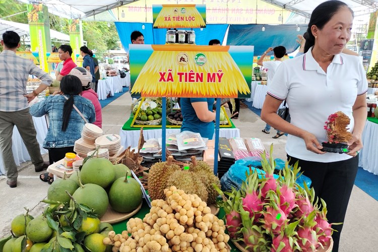 Quảng Nam: Ngày hội quảng bá sản phẩm miền núi đến với du khách - Anh 1