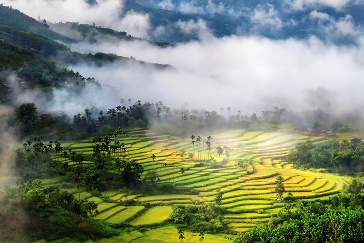 “Bảo tàng” văn hóa đồng bào Cadong, điểm dừng chân của du khách - Anh 1