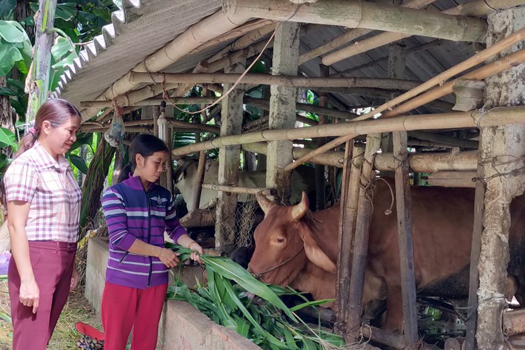 Hành Thiện nỗ lực nhiều giải pháp giảm nghèo - Anh 3