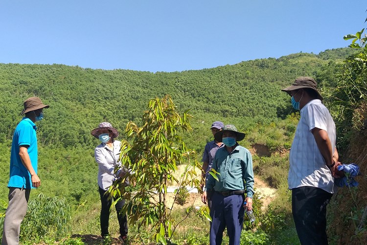 Hành Thiện nỗ lực nhiều giải pháp giảm nghèo - Anh 2